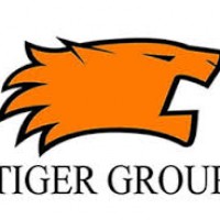 Tiger Group